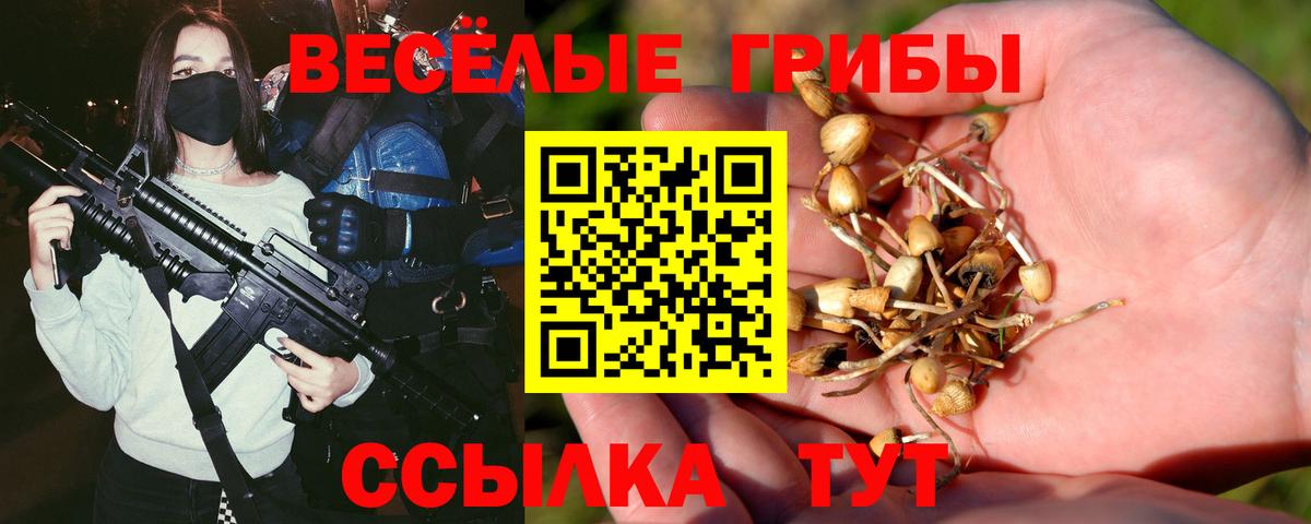 Псилоцибиновые грибы мухоморы  Вход с VPN  Баксан 