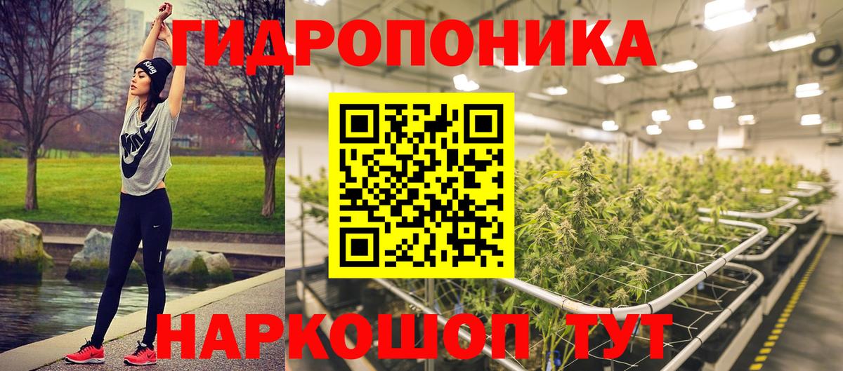 Бошки Шишки гибрид Баксан